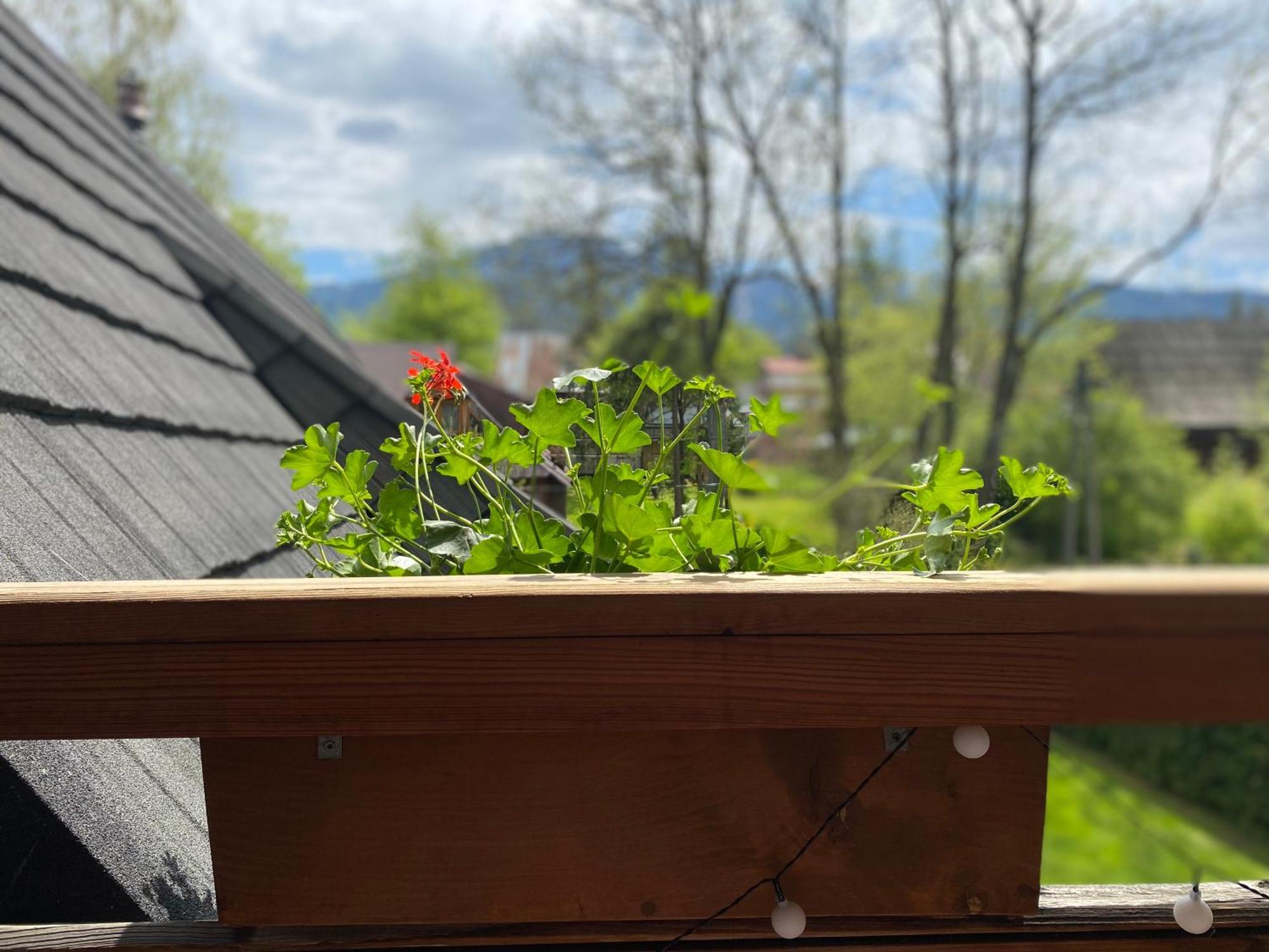 Apartamenty U Giewonta — Zdjęcia 2